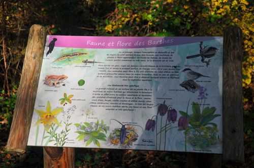 Création de plans de localisation