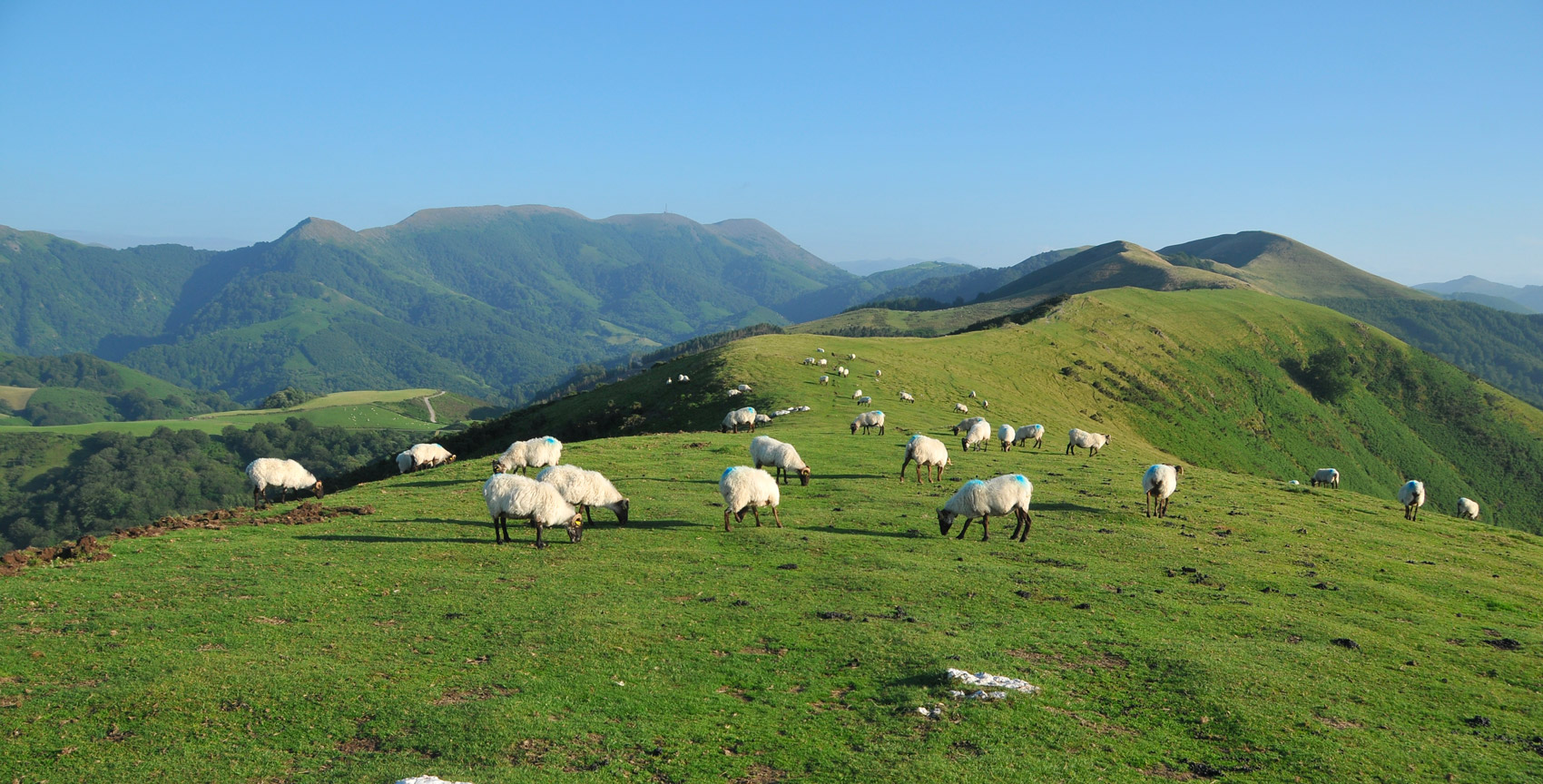 Carte relief des Pyrénées