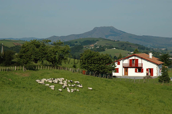 paysage du Pays Basque, au premier une ferme basque et un champ avec des moutons