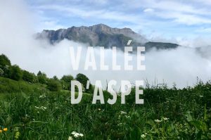 Paysage de montagne en vallée d'Aspe